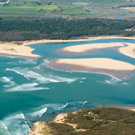 Spacious Duplex House In *